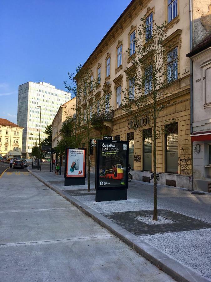 Optim * Lubiana